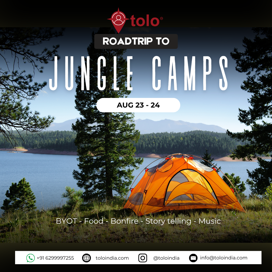 Jungle Camp