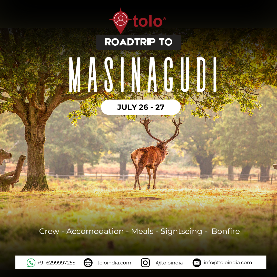 Masinagudi